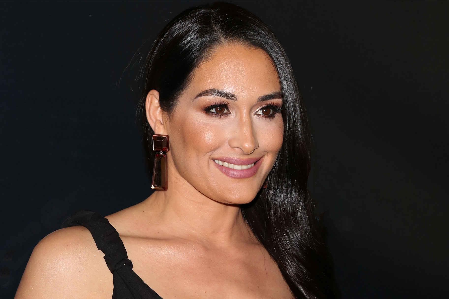 Agt Extreme Nikki Bella Reality Tv