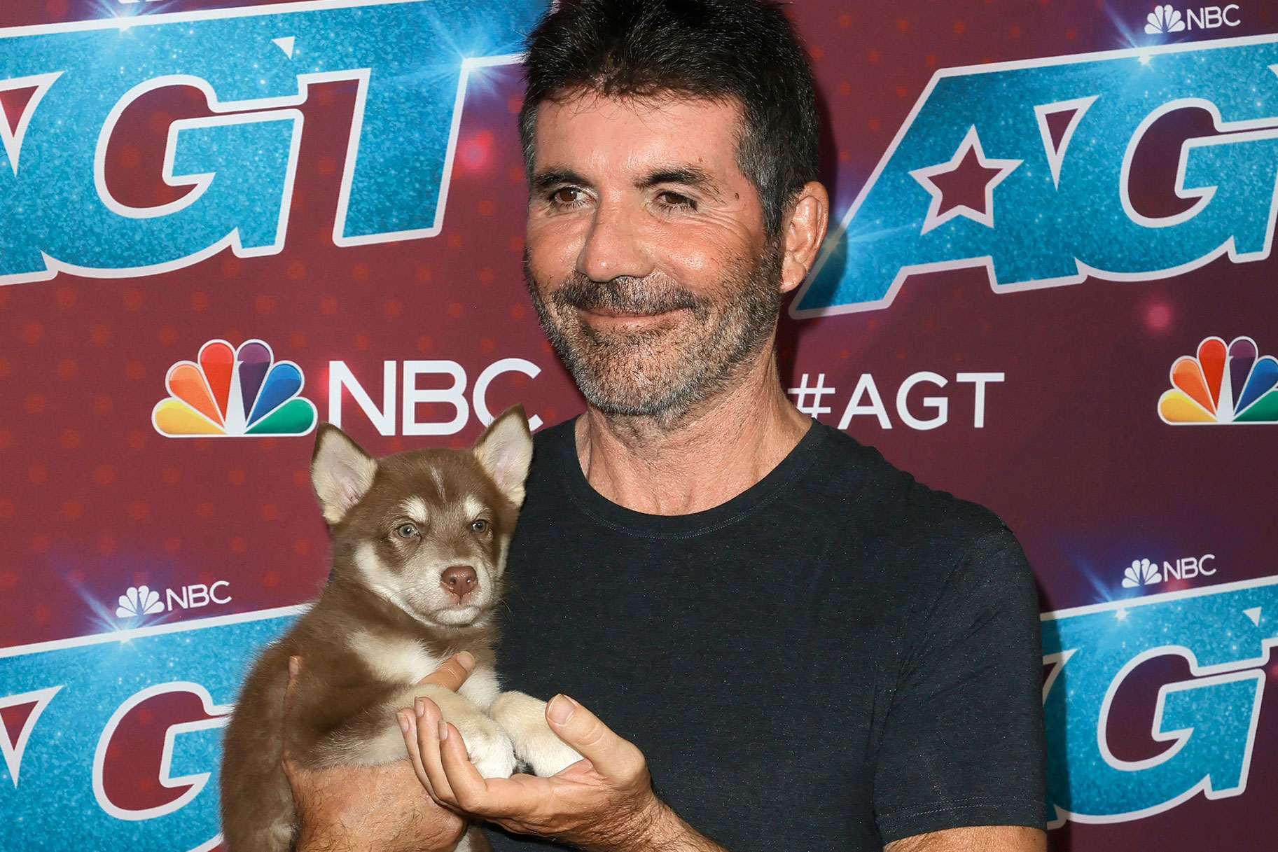 Simon Cowell Puppy