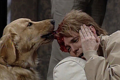 Golden retriever tugging on Dana Carvey's head prothestic in the 'Massive Head Wound Harry' SNL skit