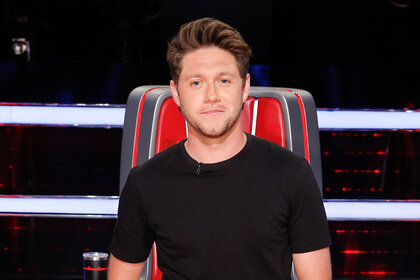 Niall Horan on the voice season 24 episode 13