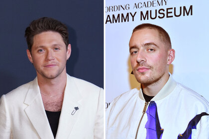 Split of Niall Horan and Dermot Kennedy