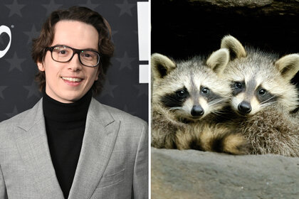 A split of Mekki Leeper and Raccoons in a den on The Americas Season 1 Episode 1