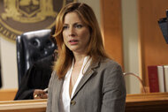 Diane Neal as A.D.A. Casey Novak