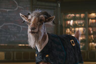 Dr. Dillamond (Peter Dinklage) is a goat in Wicked (2024).