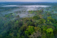 A view of clouds over trees in the amazon rainforest