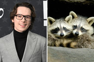 A split of Mekki Leeper and Raccoons in a den on The Americas Season 1 Episode 1