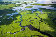 An aerial view of Everglades National Park.