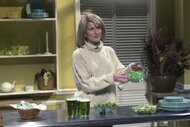 Martha Stewart (Ana Gasteyer) holds up green sludge in a clear bowl on Saturday Night Live.