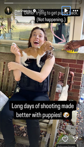 Marina Squerciati plays with a puppy via her Instagram story.