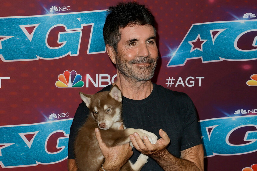 Simon Cowell Puppy2