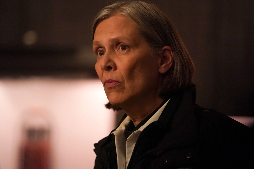 Chicago Pd Trudy Platt2