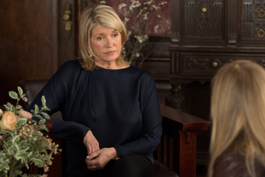 Martha Stewart on Law And Order SVU