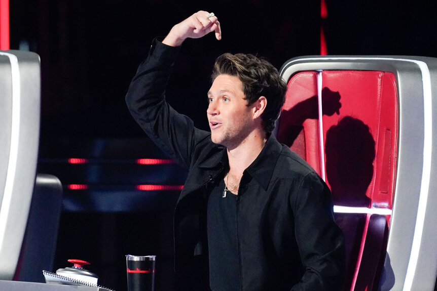 The Voice Team Recap Niall