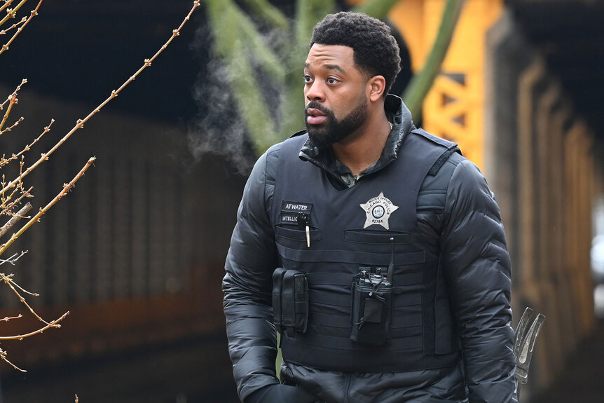 Chicago 1021 Laroyce Hawkins2