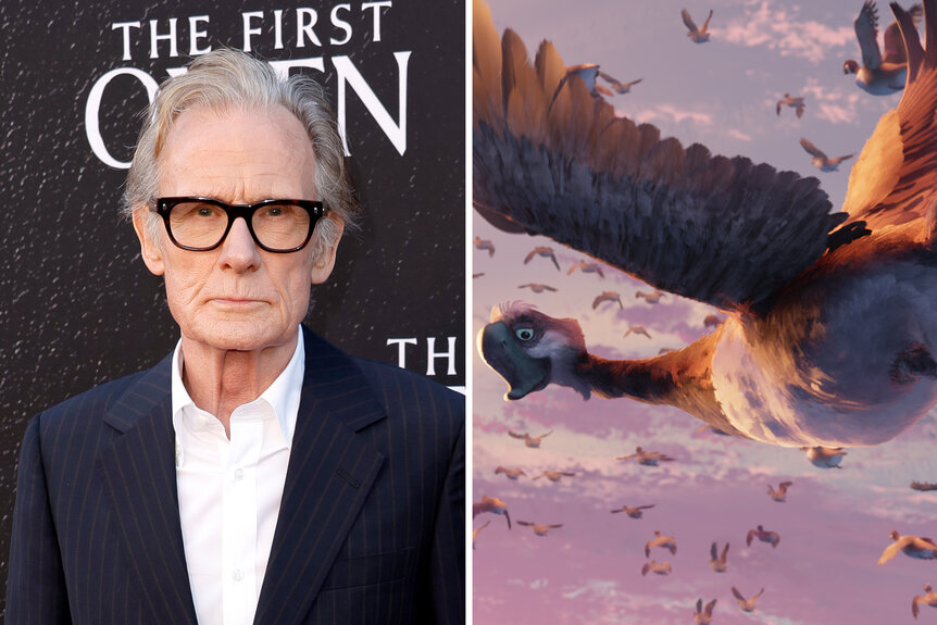 A split of Bill Nighy and Longneck in The Wild Robot