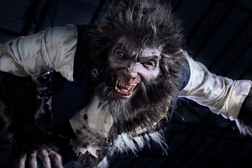 An Animatronic statue of The Wolf Man showing his teeth