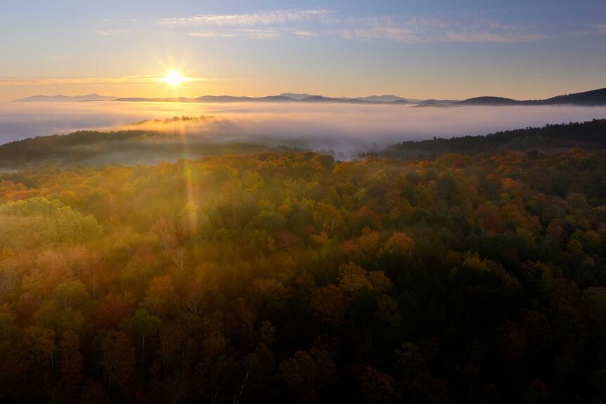 A sunrise with fall colored leaves in New England on The Americas Season 1, Episode 1.