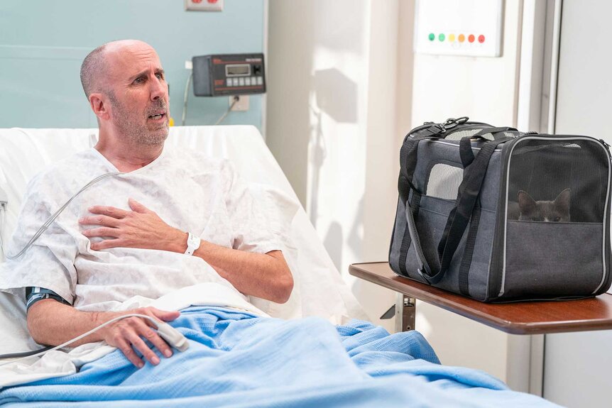 Jonathan in a hospital bed next to a cat on St. Denis Medical Season 1, Episode 12.